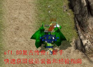 sf1.80Ŵ棺ֿٻȡƷװ;ָ