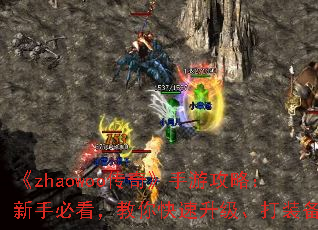 zhaowoo桷ιԣֱؿװ