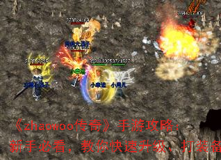 zhaowoo桷ιԣֱؿװ