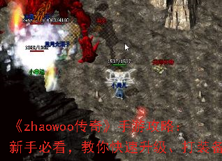 zhaowoo桷ιԣֱؿװ