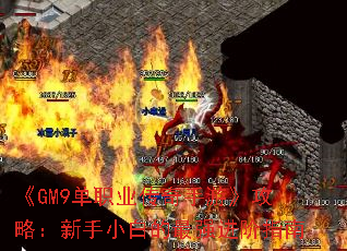 GM9ְҵΡԣС׵ǿָ