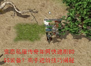 ̬˽οˢBOSSװֽ׼ɽ